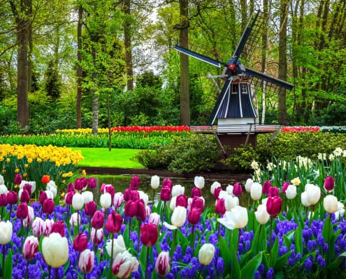 Keukenhof